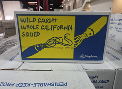 AMERICAN LOLIGO SQUID – PREMIUM WILD CAUGHT | USA PACIFIC ORIGIN - Image 5